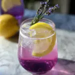 Lemon Lavender Summer Gin Spritz
