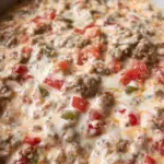 Cream Cheese Rotel Dip