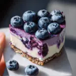 Raw Vegan Blueberry Cheesecake
